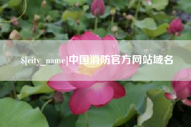 梨树县中国消防官方网站域名