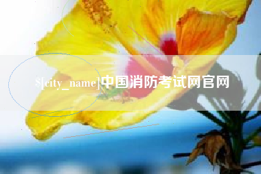 梨树县中国消防考试网官网