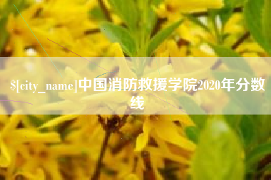 梨树县中国消防救援学院2020年分数线