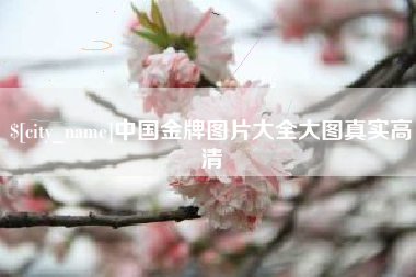 梨树县中国金牌图片大全大图真实高清