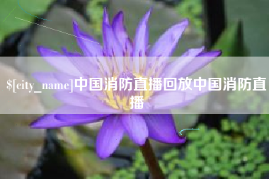 梨树县中国消防直播回放中国消防直播