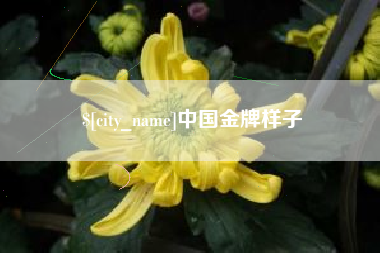 梨树县中国金牌样子