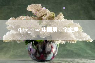 梨树县中国第十个金牌