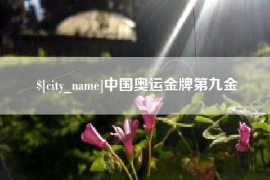 梨树县中国奥运金牌第九金