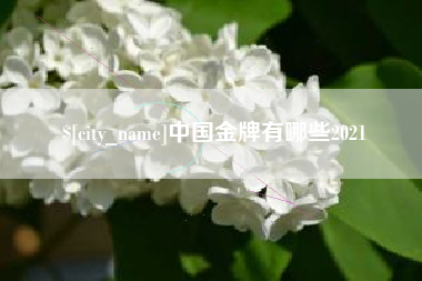 梨树县中国金牌有哪些2021