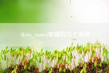 梨树县中国的几个金牌