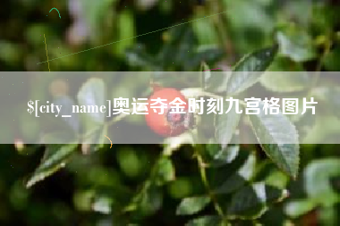梨树县奥运夺金时刻九宫格图片