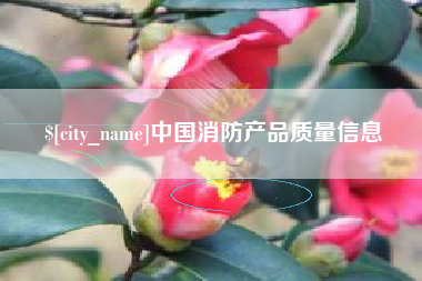 梨树县中国消防产品质量信息