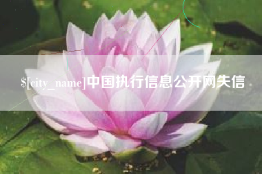 梨树县中国执行信息公开网失信