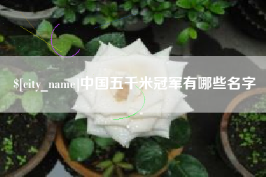 梨树县中国五千米冠军有哪些名字