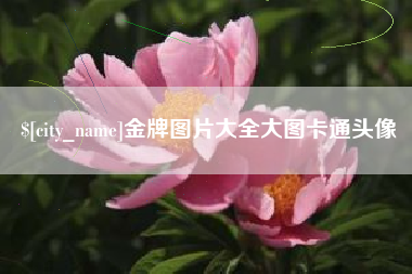 梨树县金牌图片大全大图卡通头像