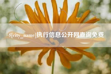 梨树县执行信息公开网查询免费
