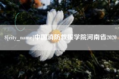 梨树县中国消防救援学院河南省2020